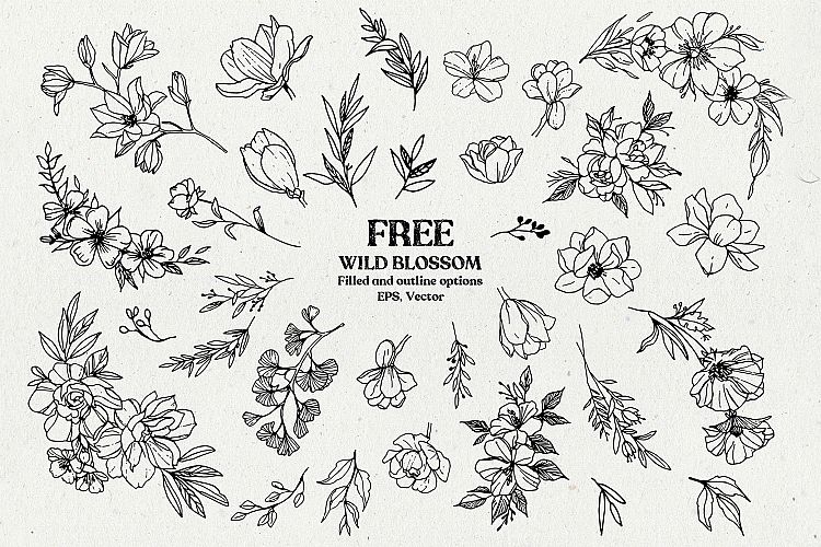 Wild Blossom - Hand sketched Floral   Botanical elements