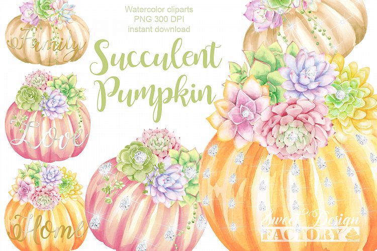 Succulents and pumpkins clipart