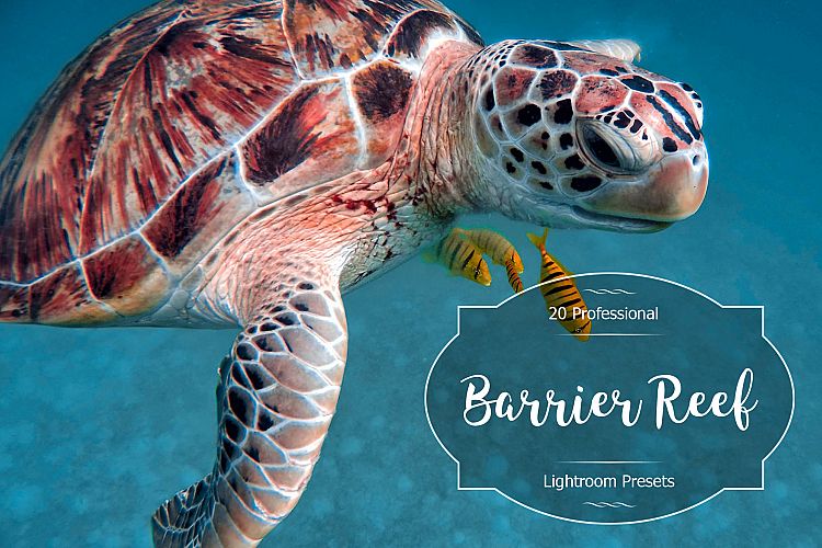 Barrier Reef lr Presets