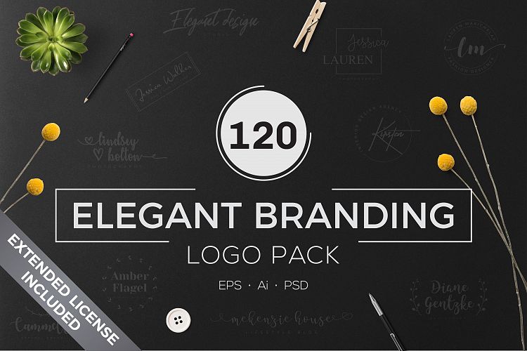 120 Elegant Branding Logo Pack