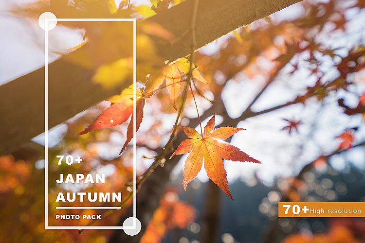 70+ Hi Res Japan Autumn Photos Pack