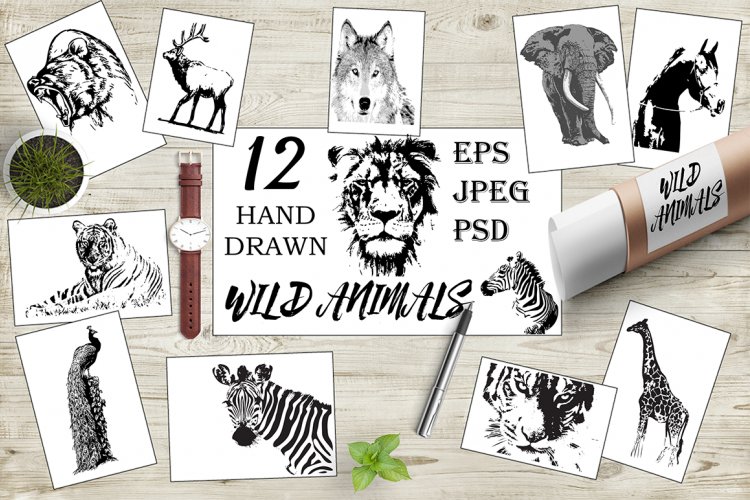 Hand drawn wild animals