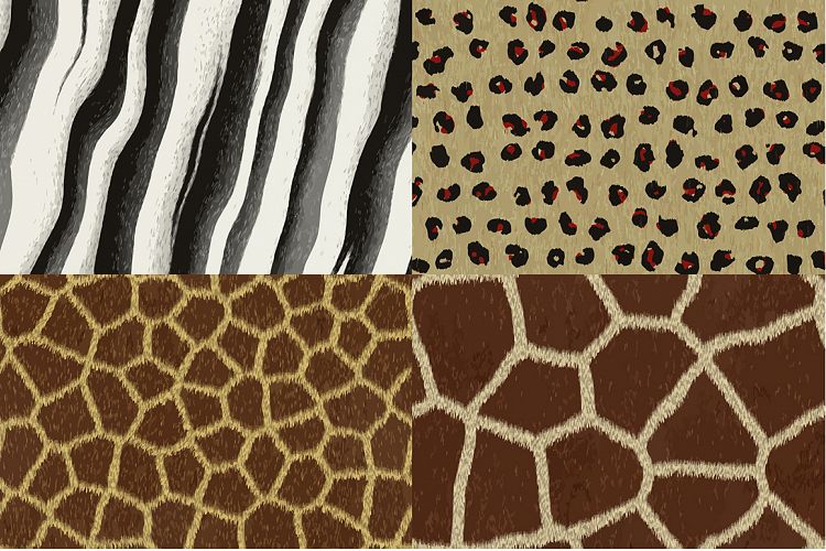 Vector animal fur textures