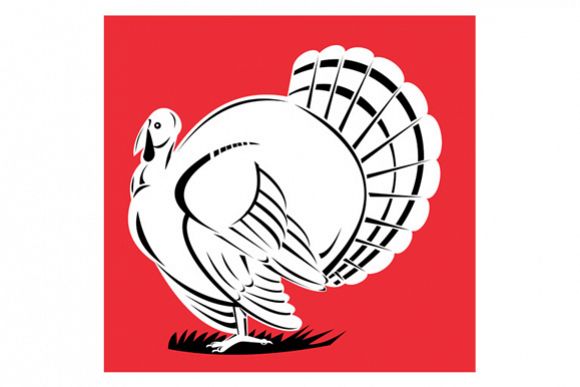 Turkey Retro example image 1