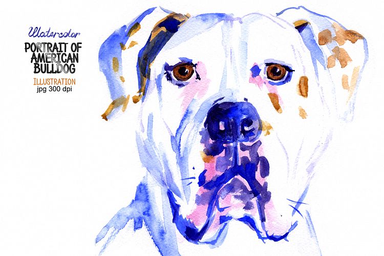 Watercolor American Bulldog example image 1