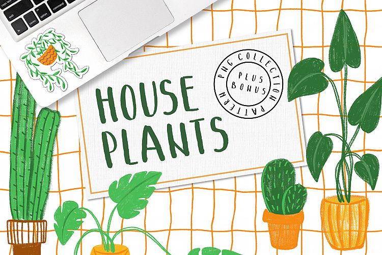 HOUSEPLANTS Colored Pencils PNG Pack