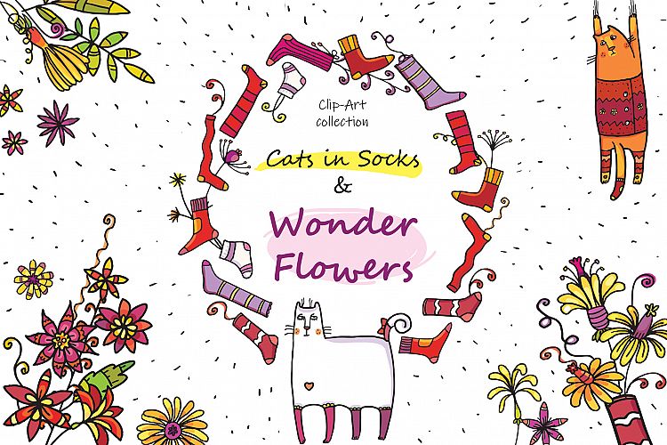 Cats in Socks & Wonder Flowers