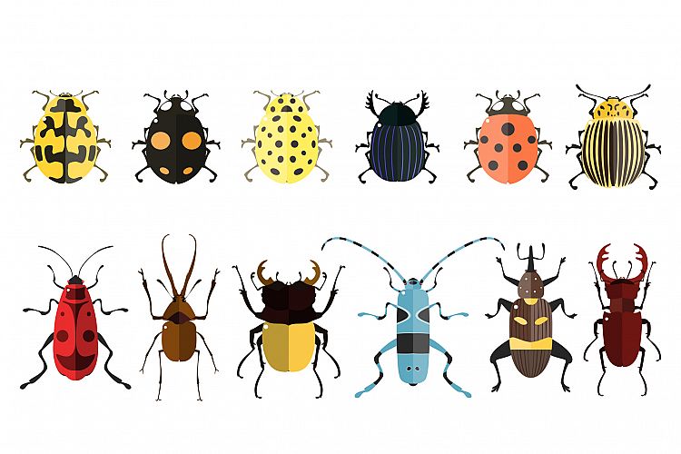 Vector bugs