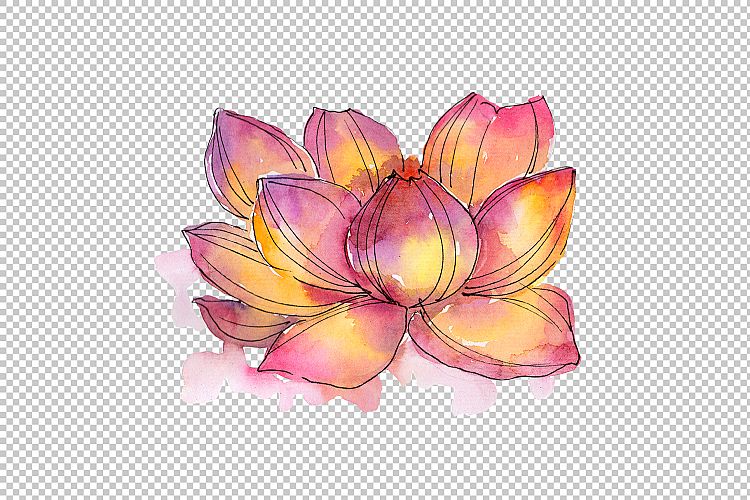 Aquarelle lotus flowers PNG set