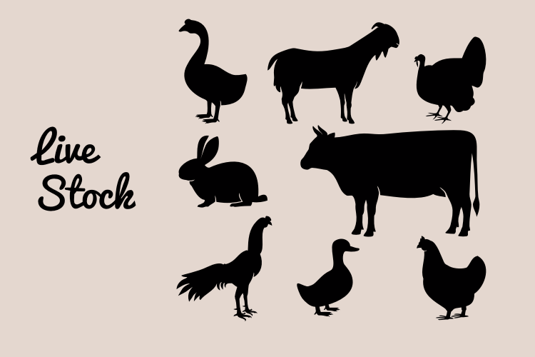 Live Stock SVG