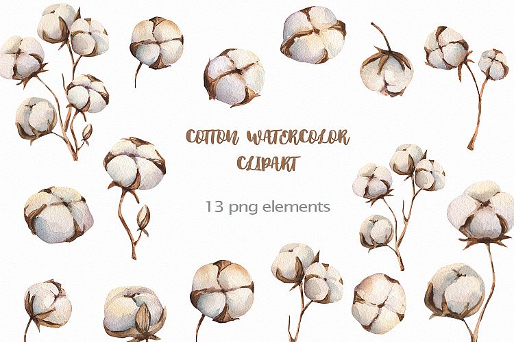 Watercolour Cotton clipart, branches winter watercolor