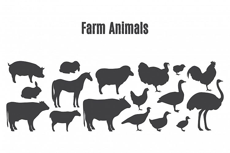 Farm animals