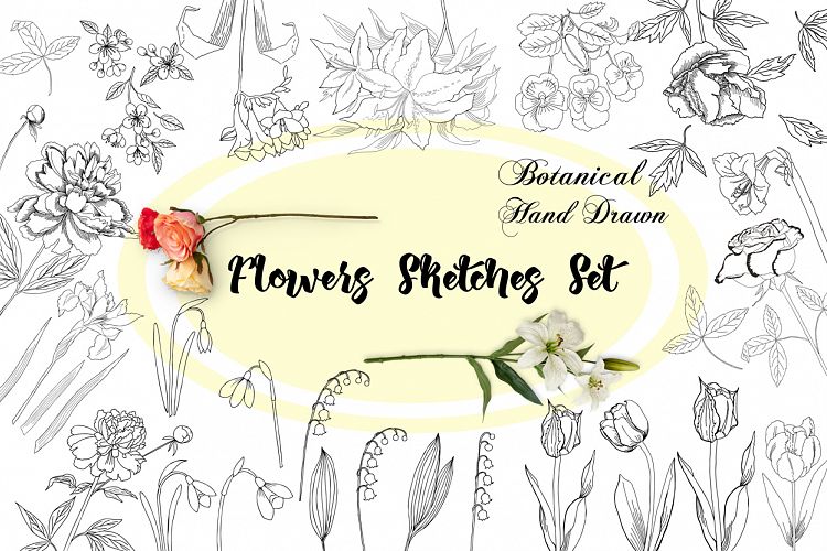 Flowers Sketches Set
