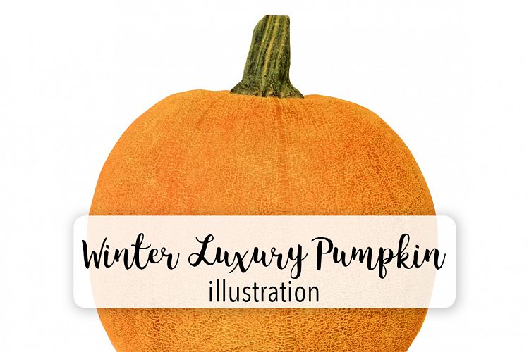 Winter Luxury Pumpkin - Vintage Illustration