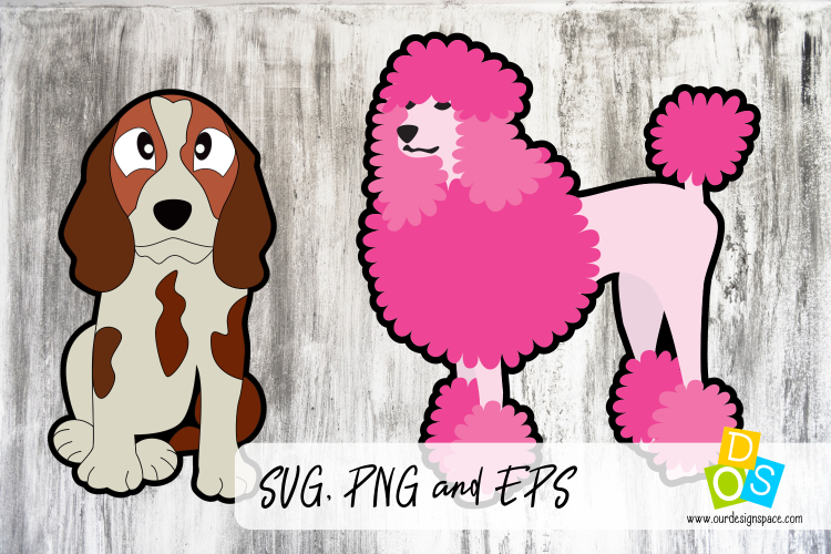 Dogs