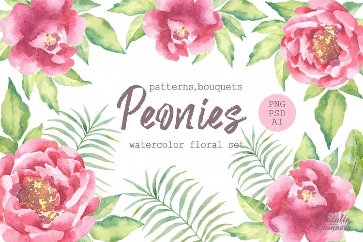 Watercolor Peonies set
