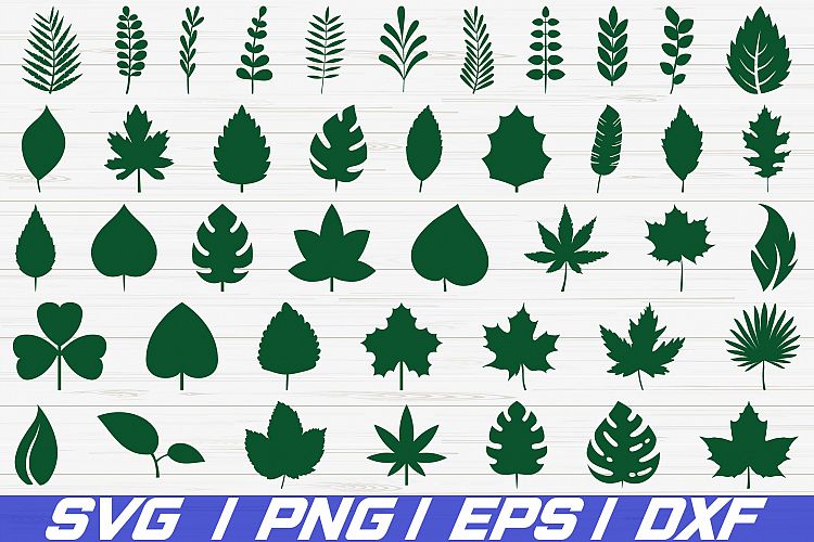 Free Free 84 Paper Flower Leaf Template Svg SVG PNG EPS DXF File