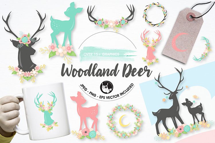 Woodland deer graphics and illustrations