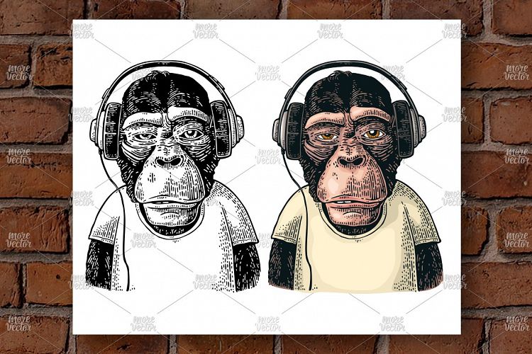 Monkey dressed t-shirt hear headphones. engraving