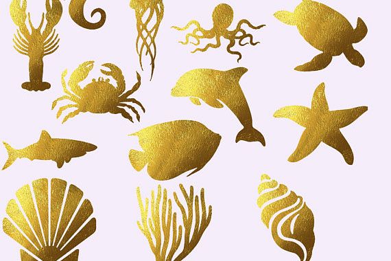 Sea Animals Clipart