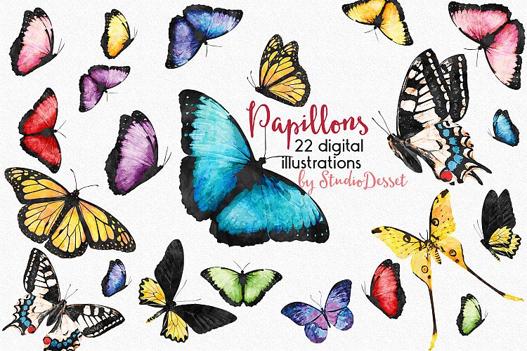 Butterfly - Watercolor Illustrations