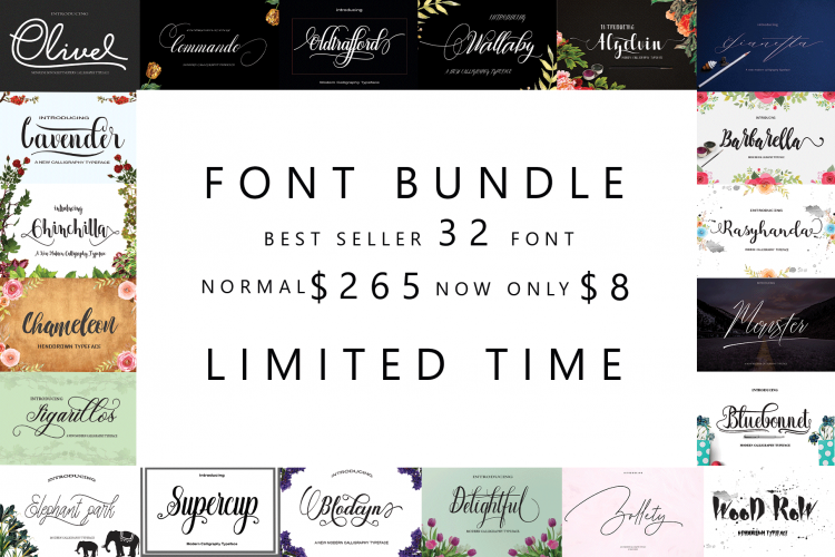 FONT BUNDLES COLECTION example image 1