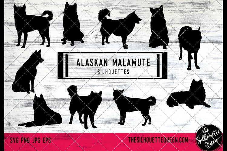 Alaskan Malamute Dog svg files cricut, silhouette clip art,