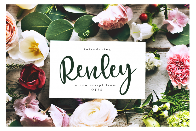 Renley - An Everyday Script