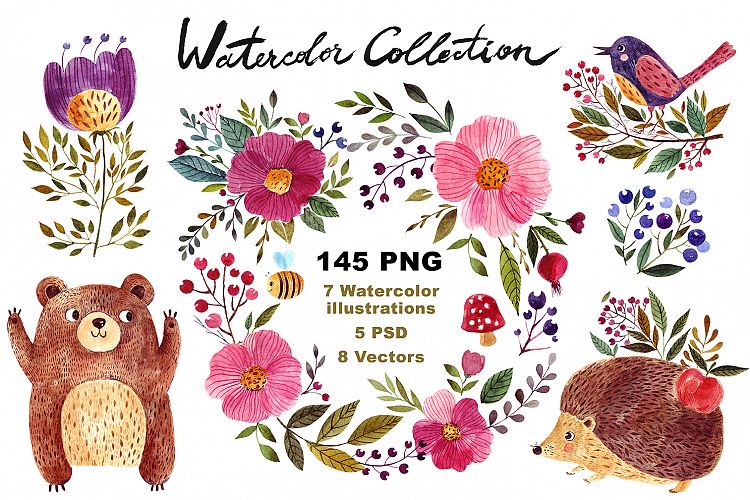 Big Watercolor Forest Collection