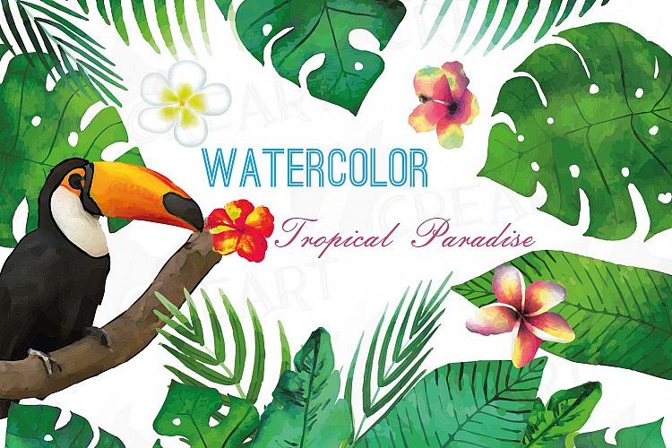 Tropical Paradise watercolor clip art pack, watercolor tropical leafs and flowers. Watercolor Toucan, PNG, jpg, svg, vector files included