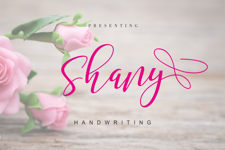 Shany