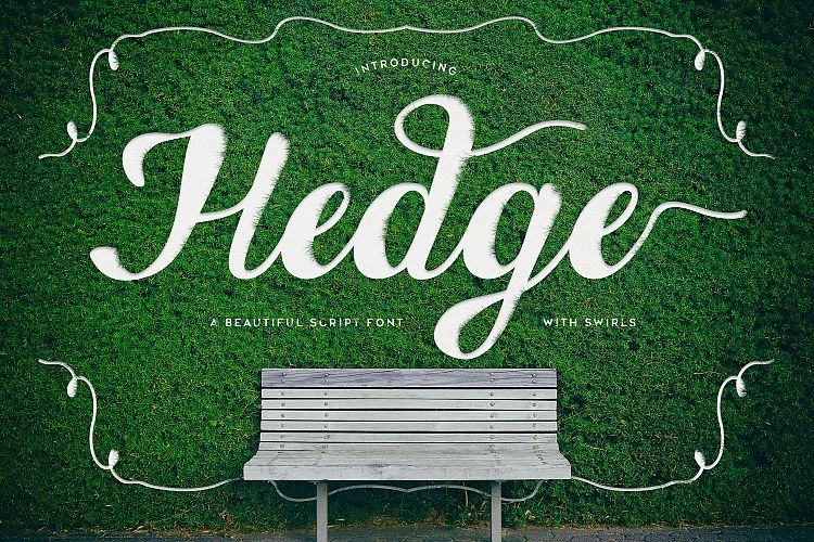 Hedge