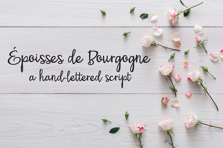 PN Époisses de Bourgogne