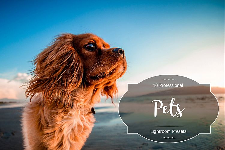 Pets Lr Presets