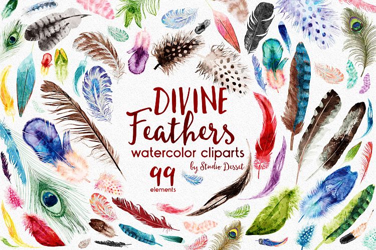 Feathers Watercolor Illustrations