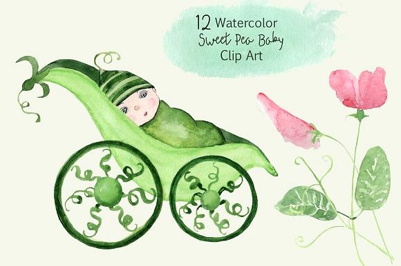 12 Watercolor Sweet Pea Baby ClipArt