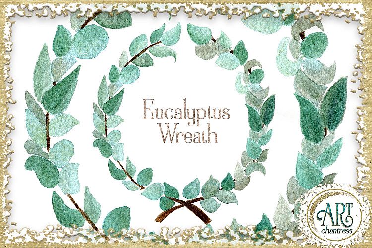 Eukalyptus Png Image 3