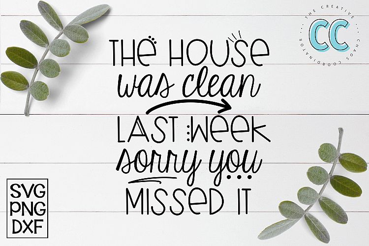 House Was Clean Last Week