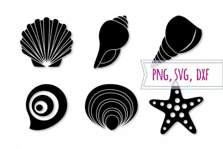 Shell svg set. Starfish svg. Seashell clipart, beach (294013) | Cut