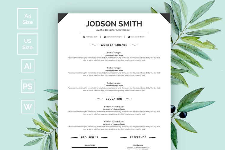 Resume/CV Template