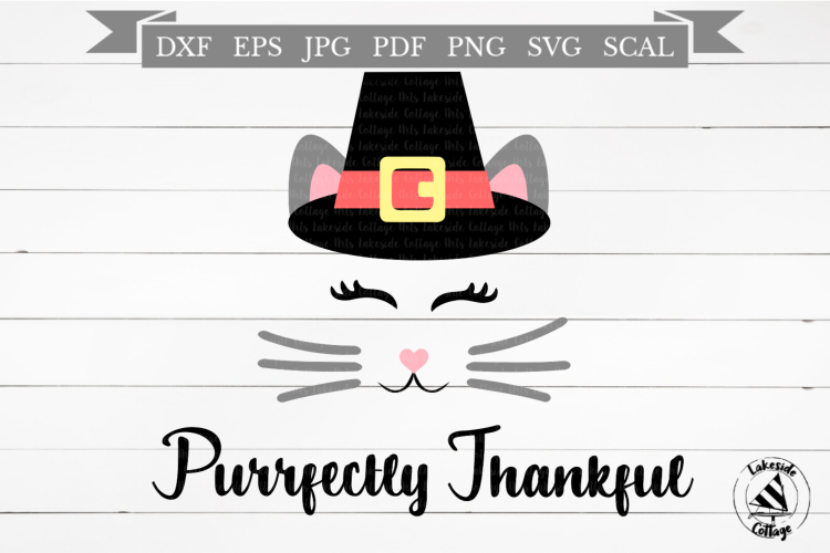 Purrfectly Thankful Cat in Pilgrim Hat Thanksgiving SVG