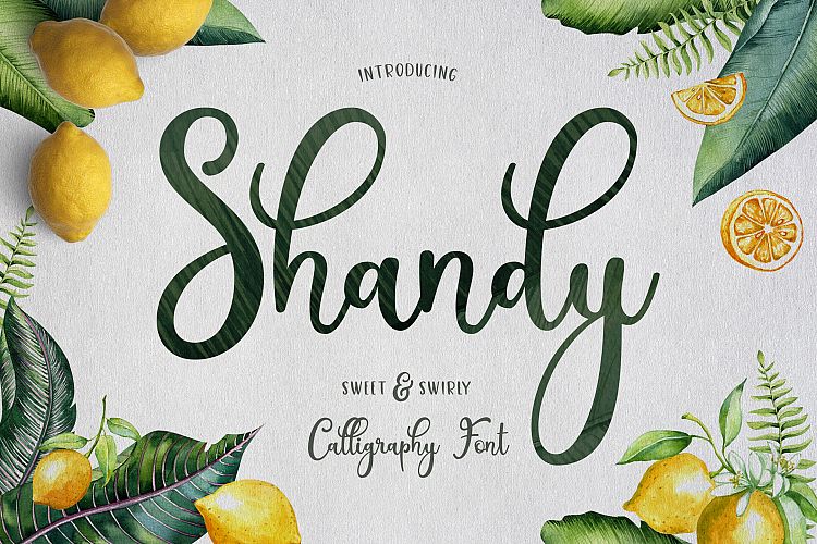 Shandy
