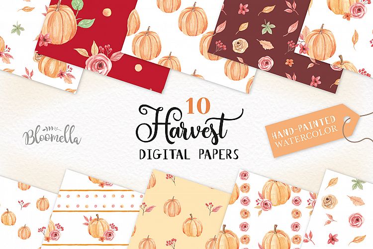 Pumpkin Seamless Harvest Patterns Digital Papers Autumn Fall Floral 