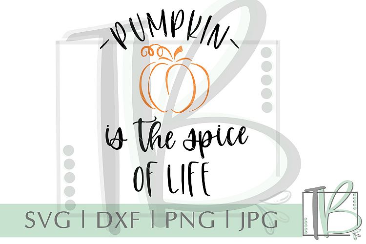 Pumpkin is the Spice of Life SVG