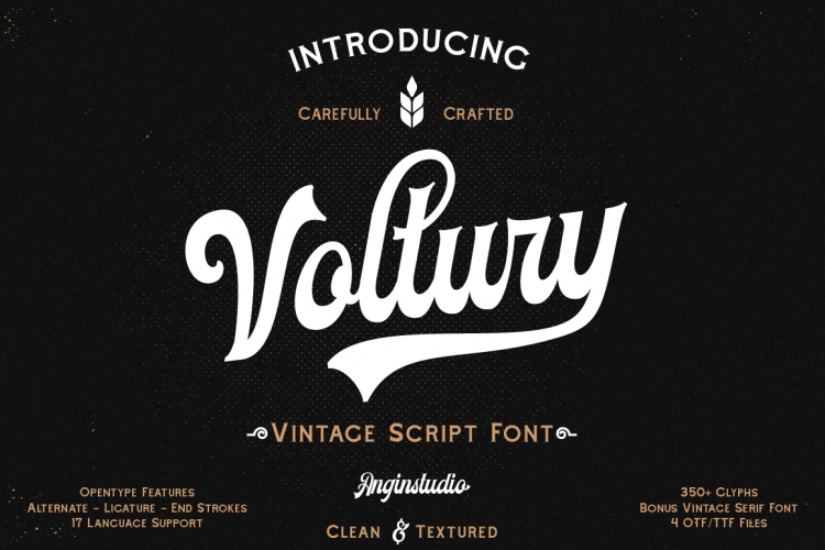 Voltury 4 fonts with extras
