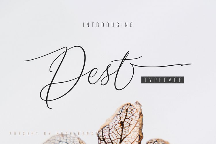 Dest Typeface