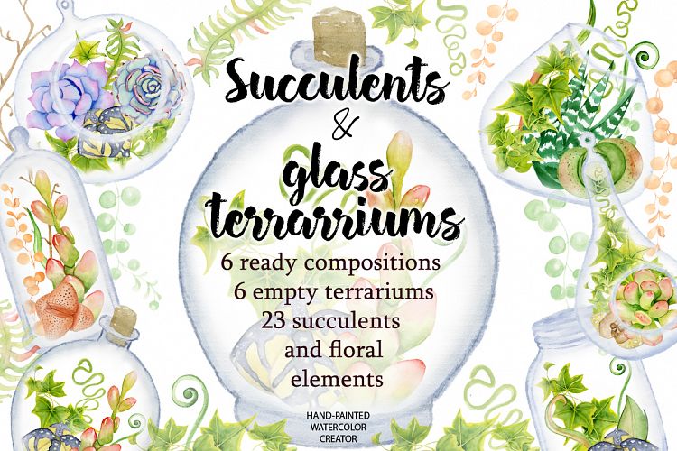 Succulents terrarium creator Vol.2