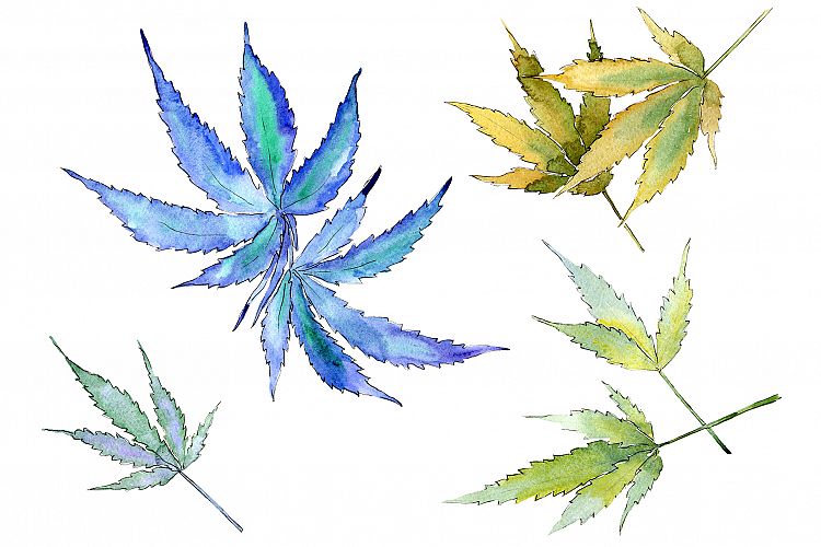 Cannabis leaves PNG watercolor set