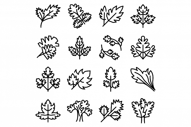 Parsley icons set, outline style
