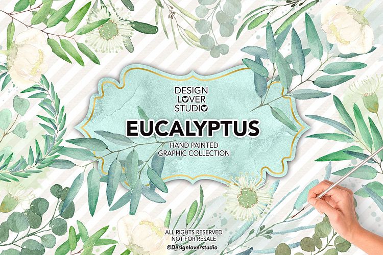 Watercolor Eucalyptus Leaves
